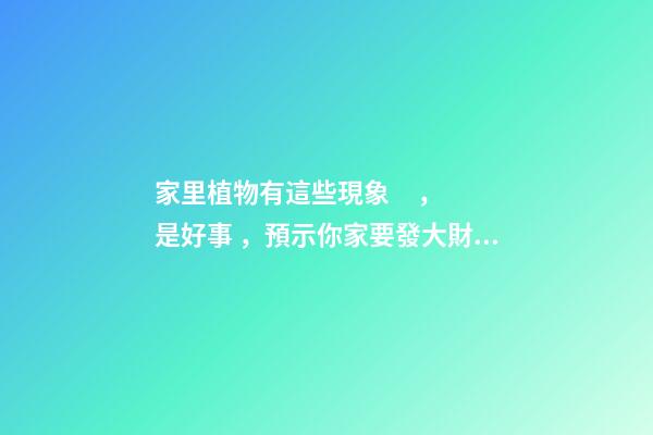 家里植物有這些現象，是好事，預示你家要發大財了！